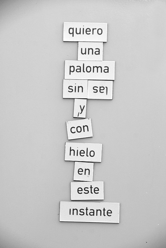 Poesía de Refri – Una Paloma